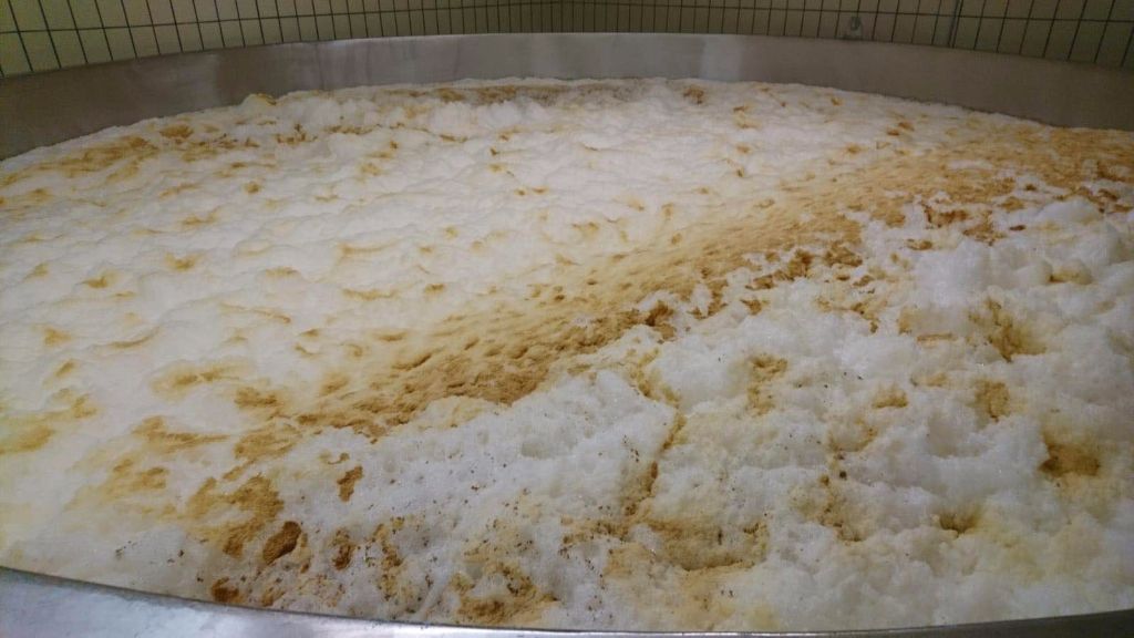 發酵啤酒可以不使用啤酒酵母嗎？