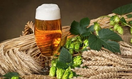 精釀啤酒中，如何選擇恰當?shù)慕湻椒ǎ? class=